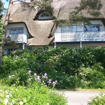 Achtern - Diek - Am Strand Zingst Luaran gambar