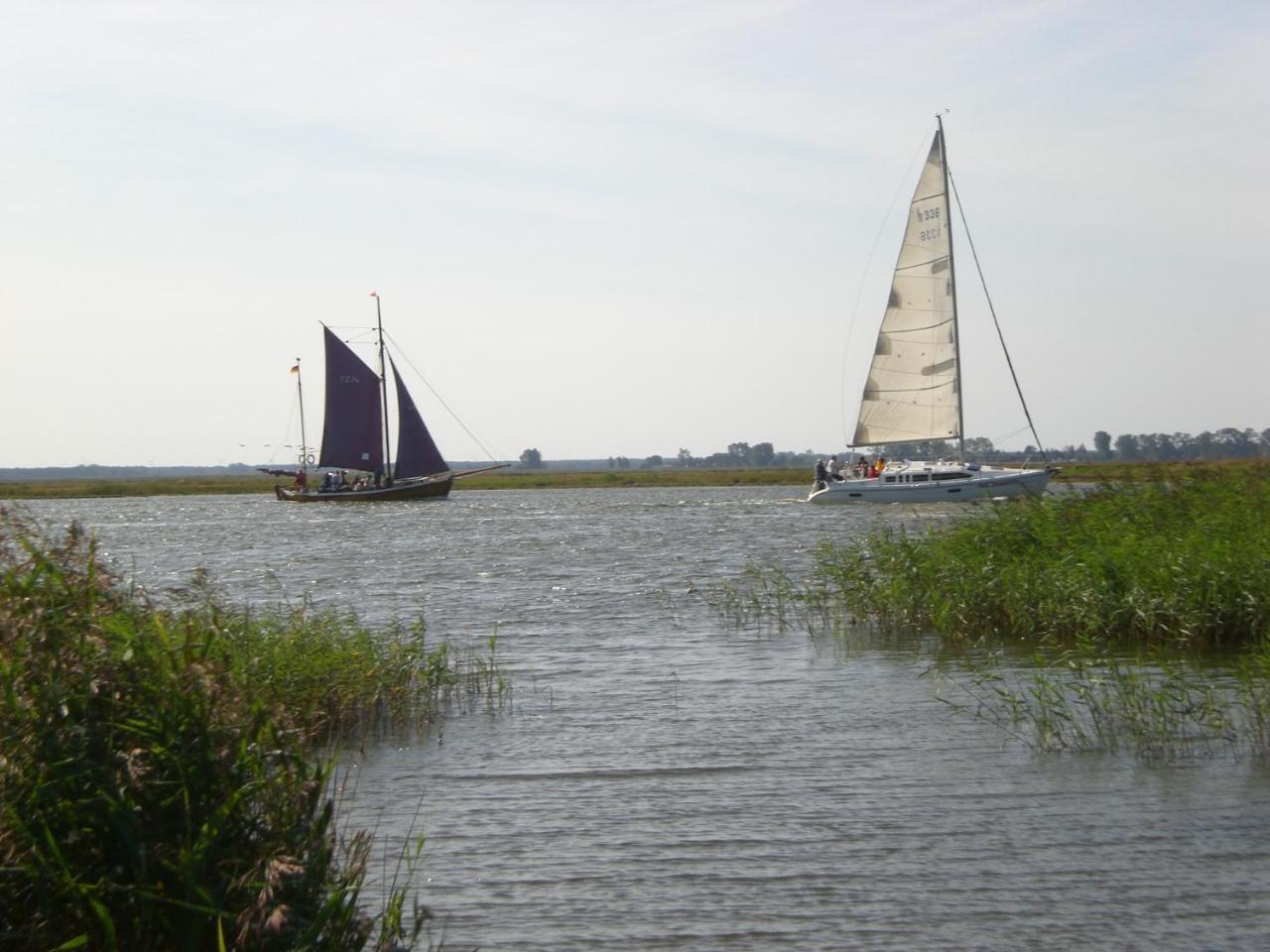 Achtern - Diek - Am Strand Zingst Luaran gambar