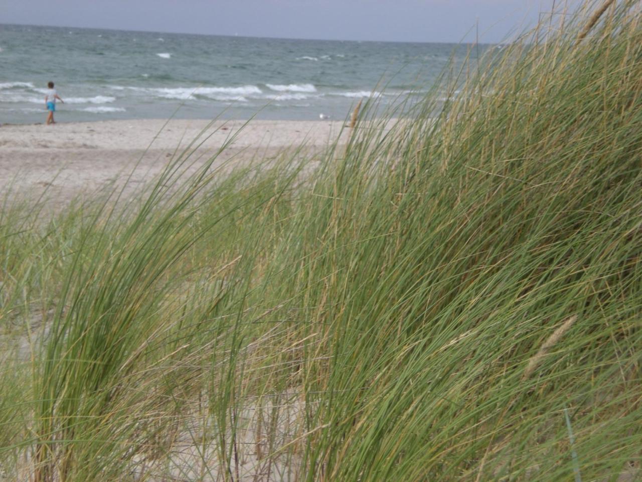 Achtern - Diek - Am Strand Zingst Luaran gambar