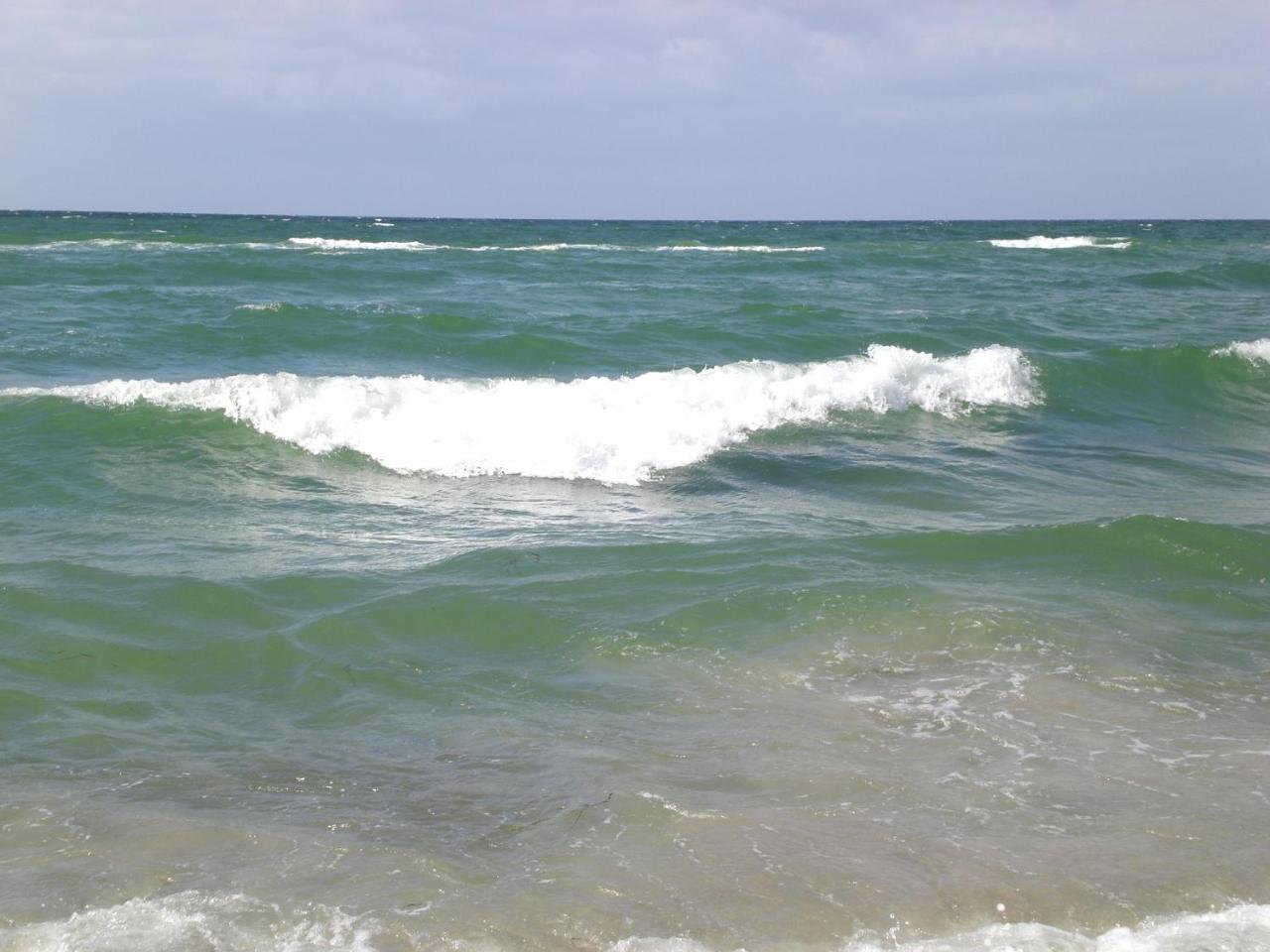 Achtern - Diek - Am Strand Zingst Luaran gambar