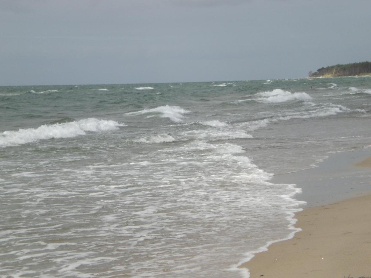 Achtern - Diek - Am Strand Zingst Luaran gambar